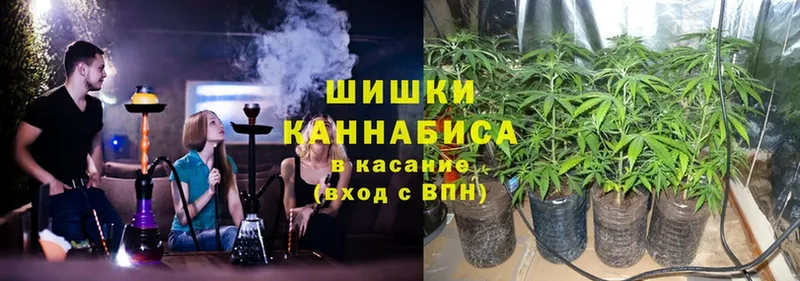 сколько стоит  Коломна  Шишки марихуана THC 21% 